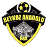 Beykoz Anadolu