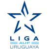 Primera Division