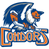 Bakersfield Condors