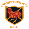 Croesyceiliog