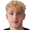 Ellison