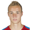Panek David