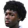 Makavore