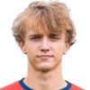 Skopal Dominik