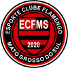 EC Flamengo Nữ