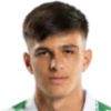 Fernandez Perez