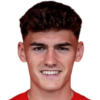 Molinari