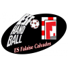 Falaisienne