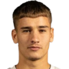 Petrovic